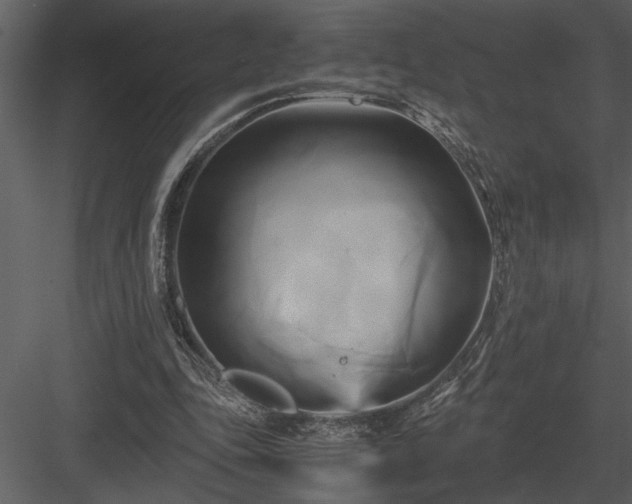 X0000084010343200702232210