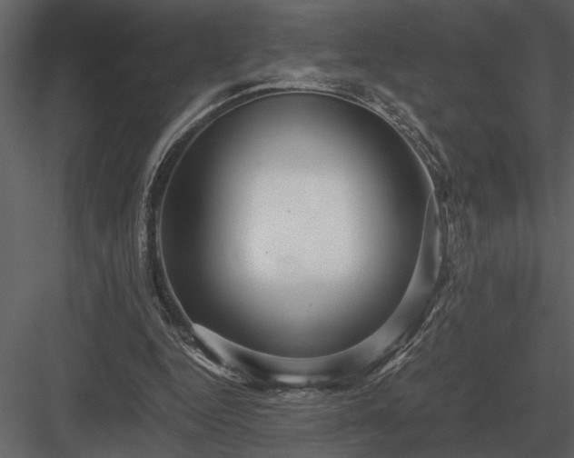 X0000084010344200702232210