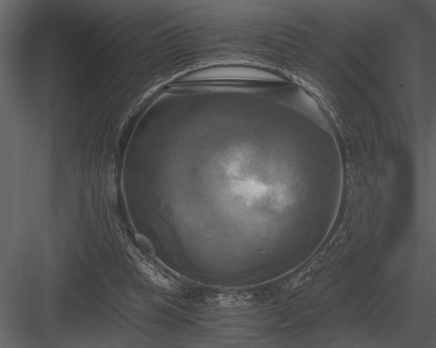 X0000084010345200702232210