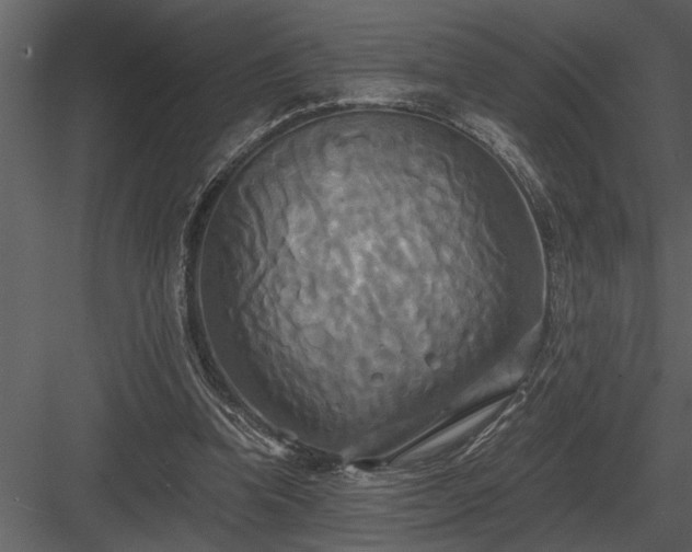 X0000084010346200702232210