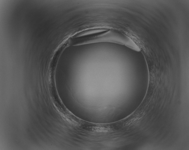 X0000084010347200702232210