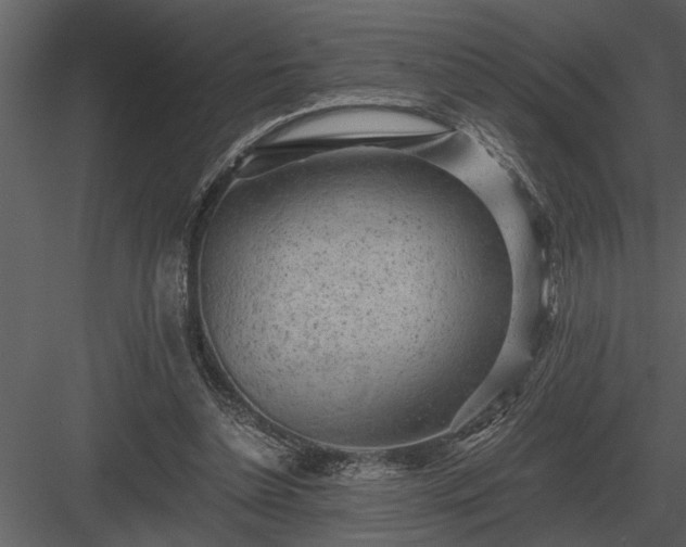 X0000084010348200702232210