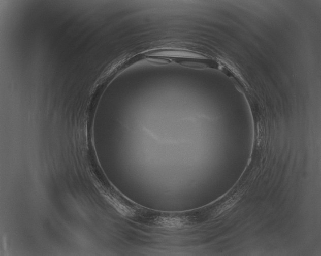 X0000084010349200702232210