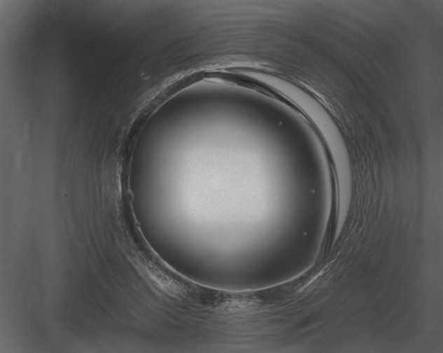 X0000084010350200702232210