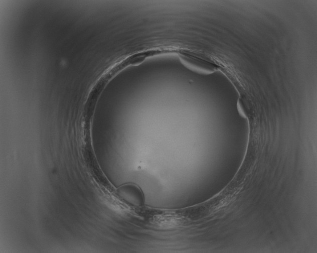 X0000084010351200702232210