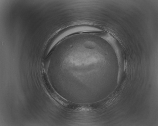 X0000084010352200702232210