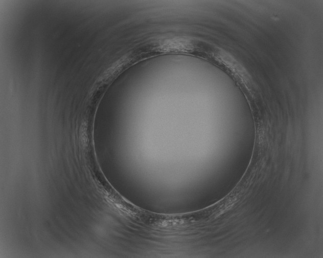 X0000084010353200702232210