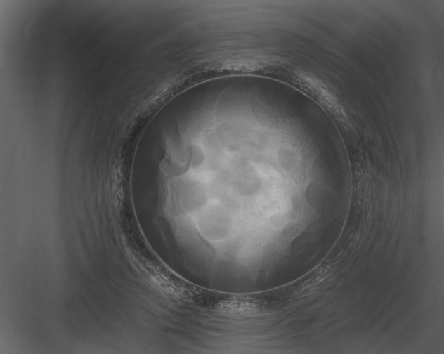 X0000084010354200702232210