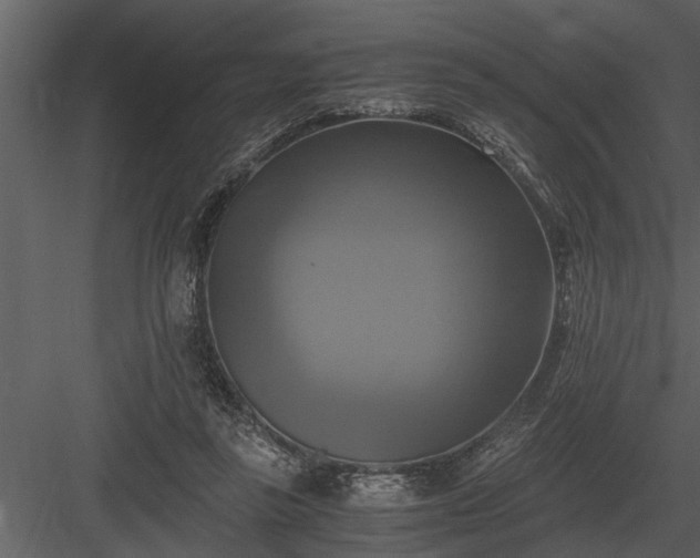 X0000084010355200702232210