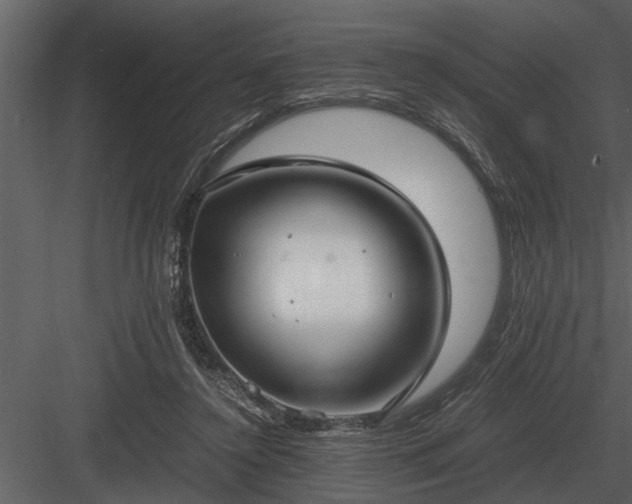 X0000084010356200702232210