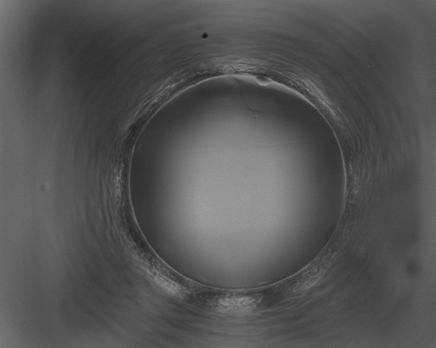 X0000084010357200702232210