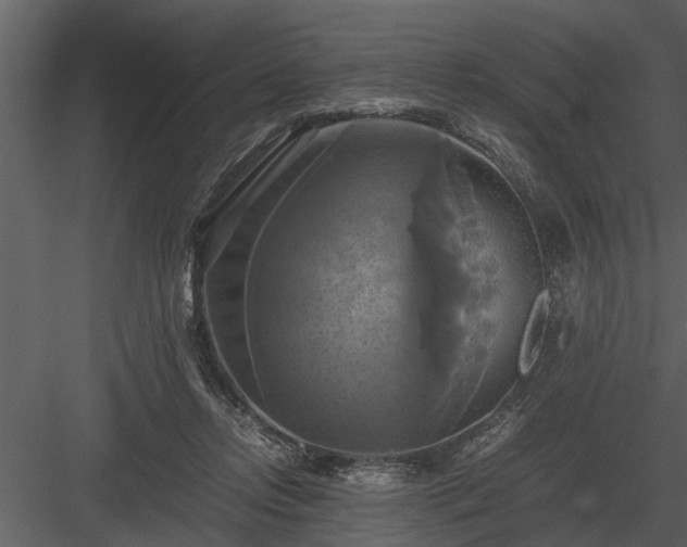 X0000084010358200702232210