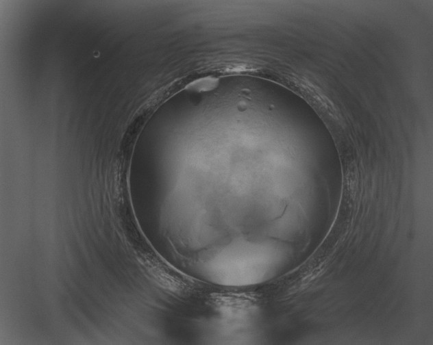 X0000084010359200702232210