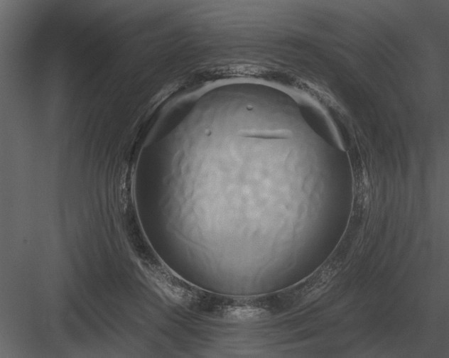 X0000084010360200702232210