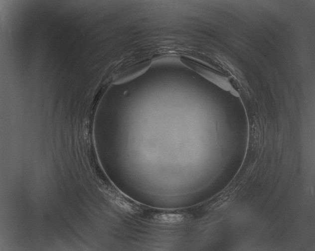 X0000084010361200702232211