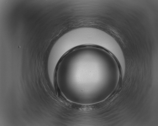 X0000084010362200702232211