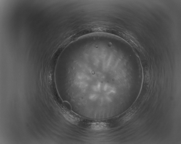 X0000084010363200702232211