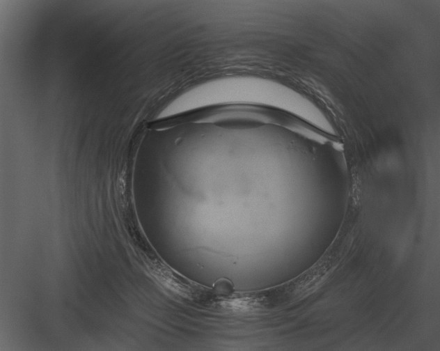 X0000084010365200702232211