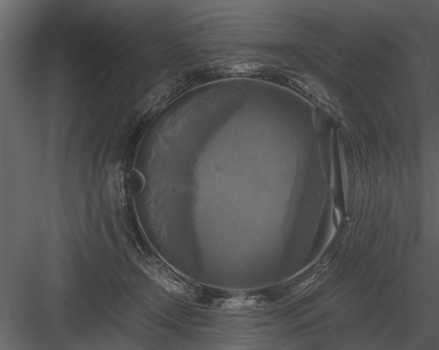 X0000084010366200702232211