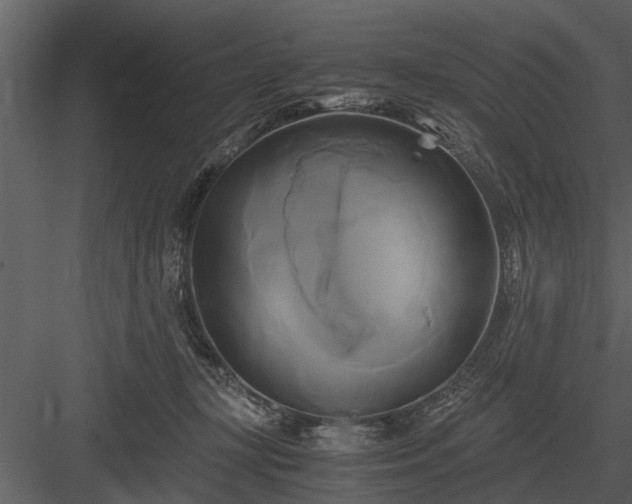 X0000084010367200702232211