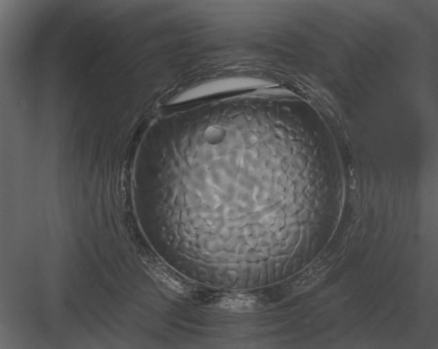 X0000084010369200702232211