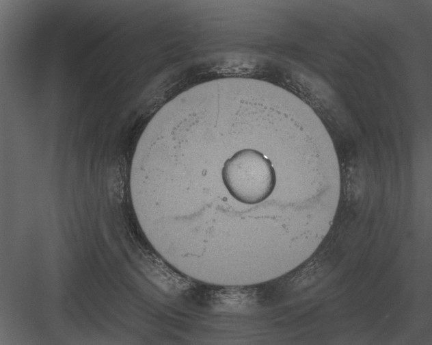 X0000084010370200702232211