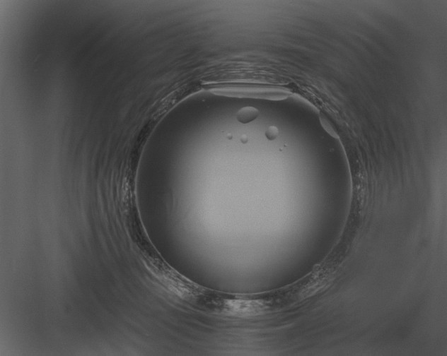 X0000084010371200702232211