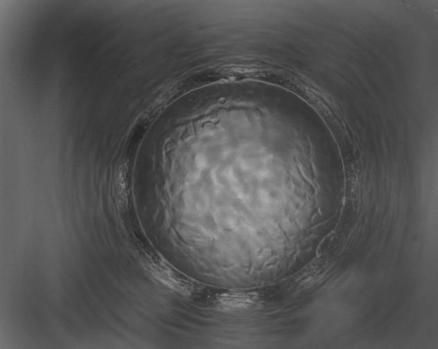 X0000084010373200702232211