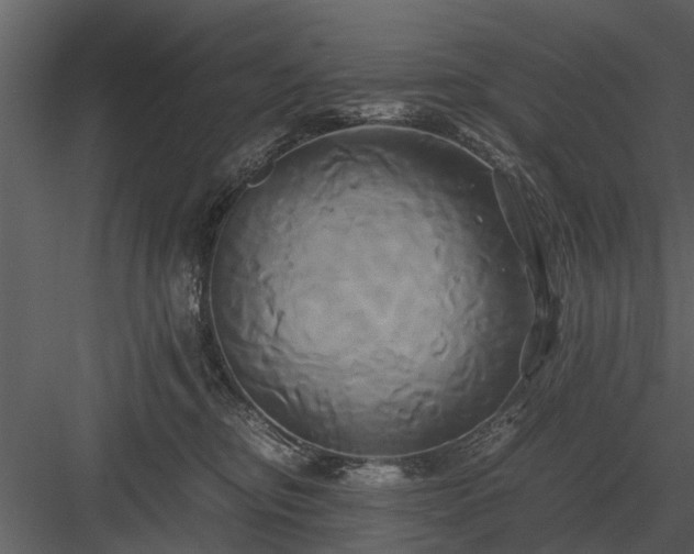 X0000084010374200702232211