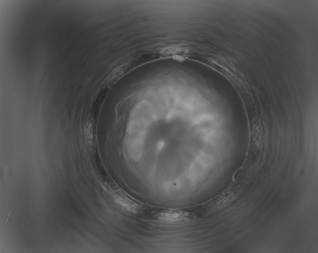 X0000084010375200702232211