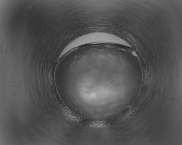 X0000084010377200702232211