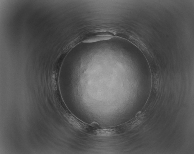 X0000084010378200702232211