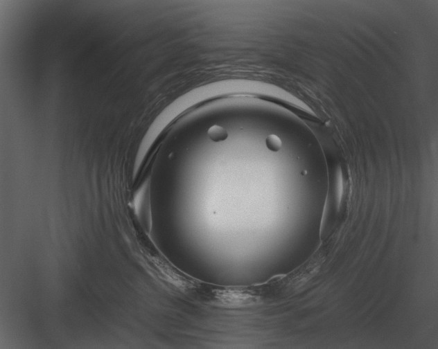 X0000084010380200702232211