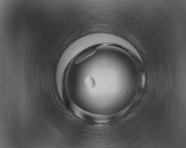 X0000084010382200702232211