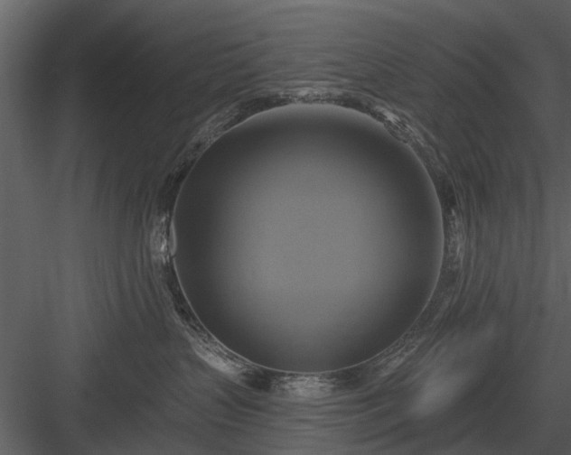 X0000084010383200702232211