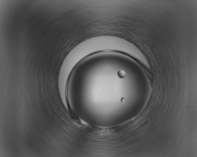 X0000084010384200702232211