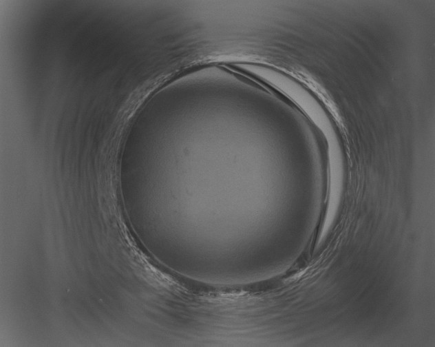 X0000084010385200702232210