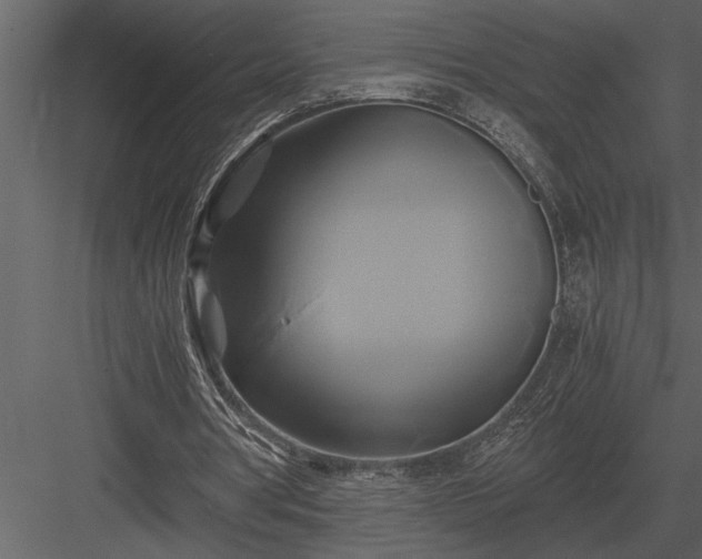 X0000084010386200702232210