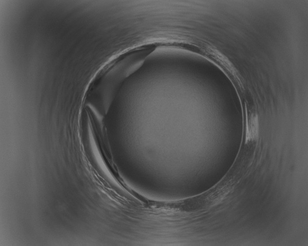 X0000084010387200702232210