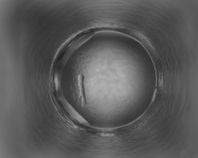 X0000084010388200702232210