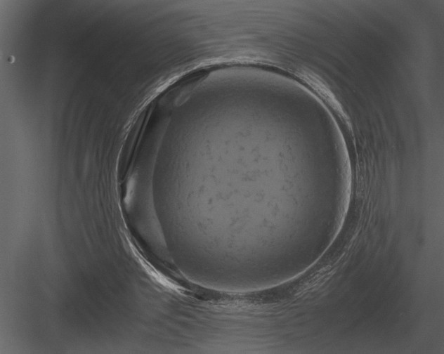 X0000084010389200702232210