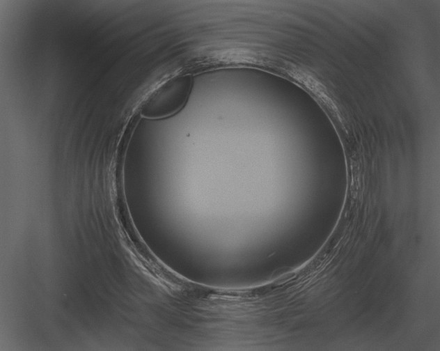 X0000084010390200702232210