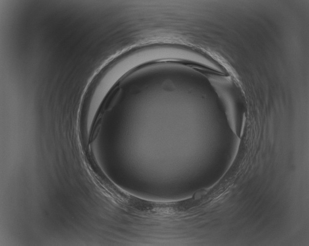 X0000084010391200702232210