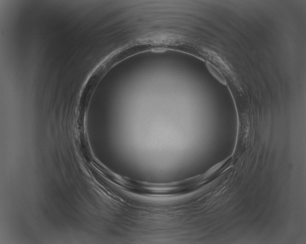 X0000084010392200702232210