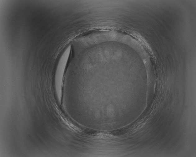 X0000084010393200702232210