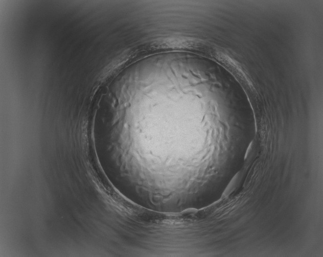 X0000084010394200702232210