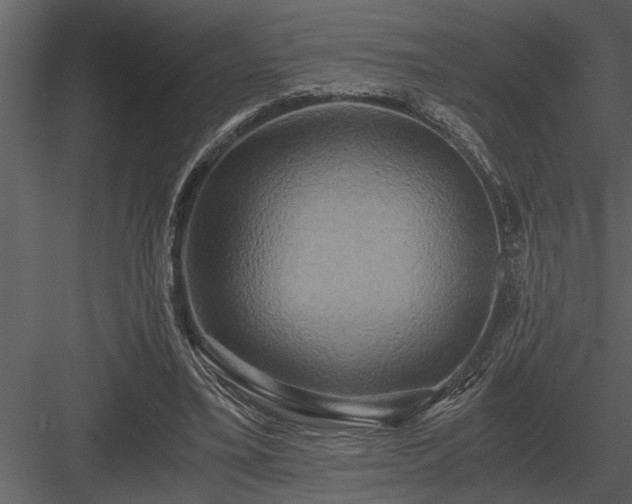 X0000084010395200702232210