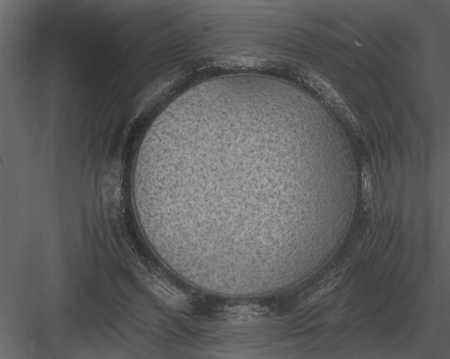 X0000084010396200702232210