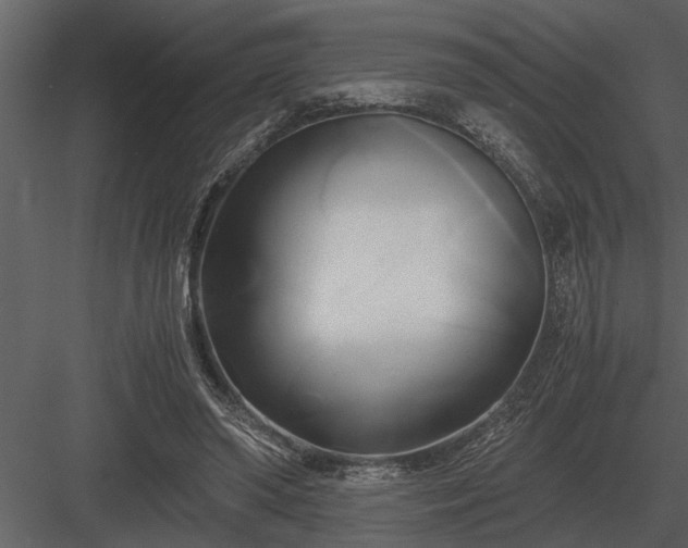 X0000084010398200702232210