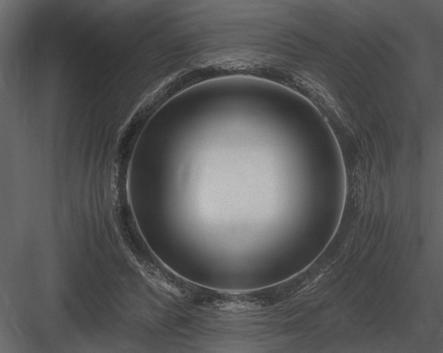 X0000084010400200702232210